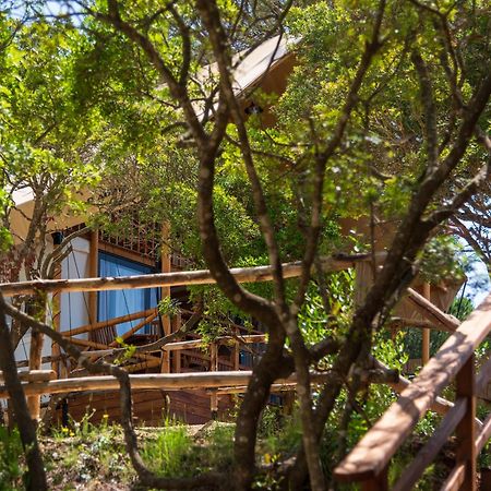 Camping Lacona Pineta Capoliveri  Ngoại thất bức ảnh