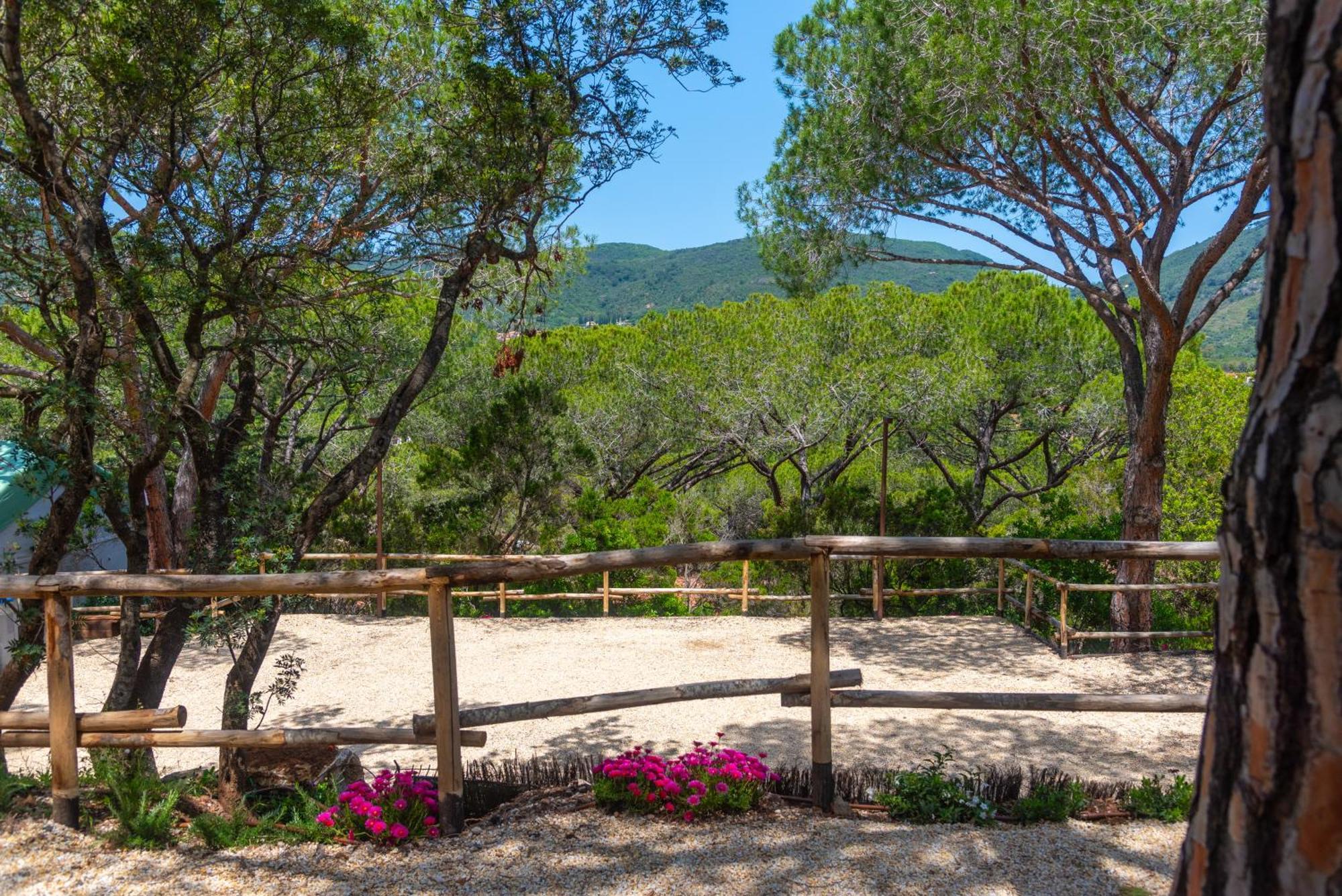 Camping Lacona Pineta Capoliveri  Ngoại thất bức ảnh